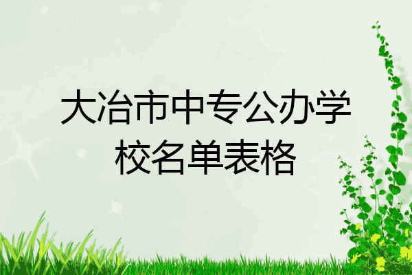 大冶市中专公办学校名单表格