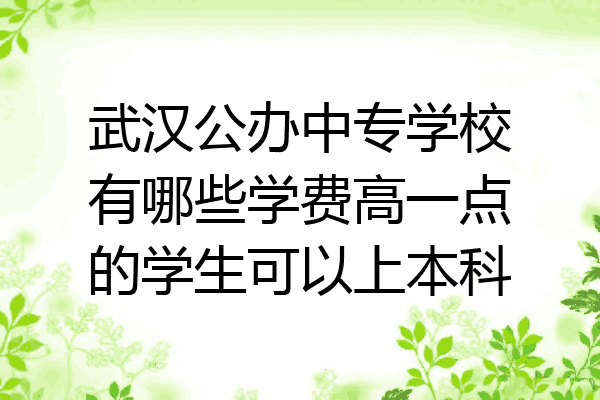 武汉公办中专学校有哪些学费高一点的学生可以上本科