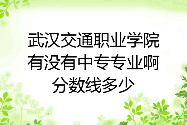 武汉交通职业学院有没有中专专业啊分数线多少