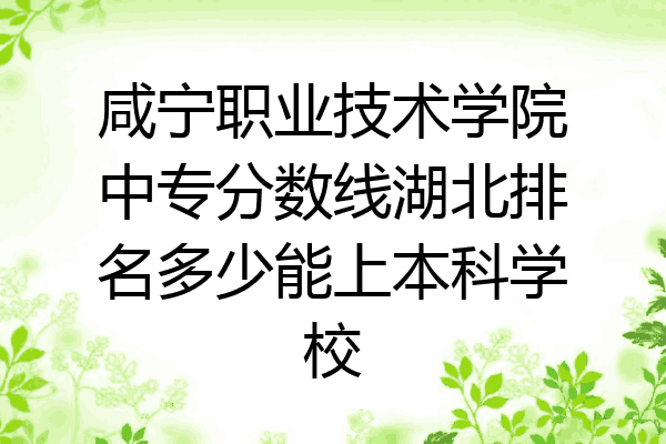 咸宁职业技术学院中专分数线湖北排名多少能上本科学校