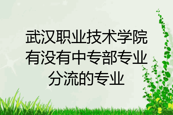 武汉职业技术学院有没有中专部专业分流的专业