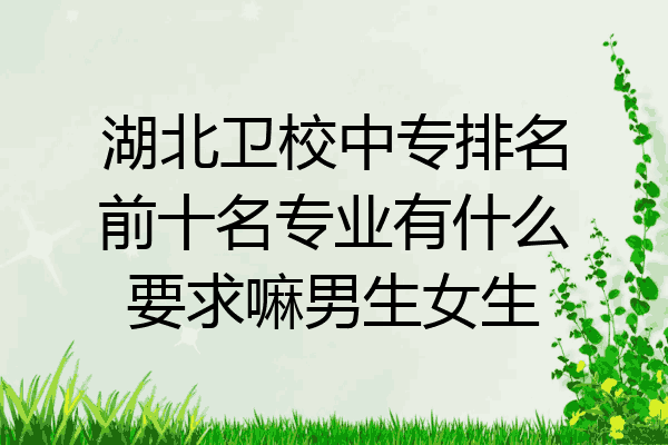 湖北卫校中专排名前十名专业有什么要求嘛男生女生