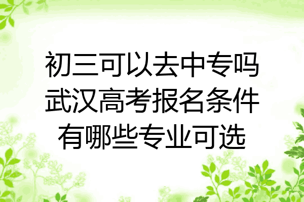 初三可以去中专吗武汉高考报名条件有哪些专业可选