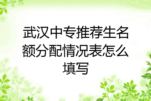 武汉中专推荐生名额分配情况表怎么填写