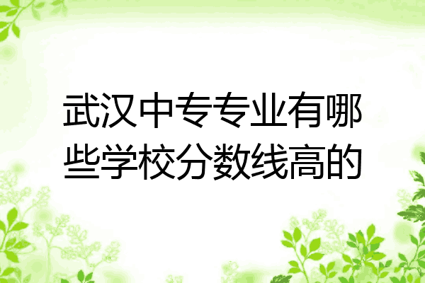 武汉中专专业有哪些学校分数线高的