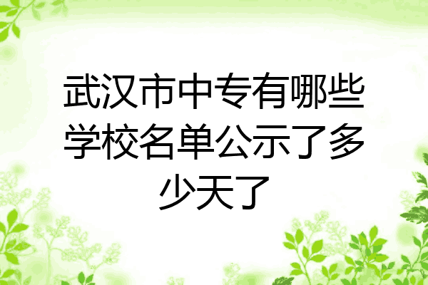 武汉市中专有哪些学校名单公示了多少天了