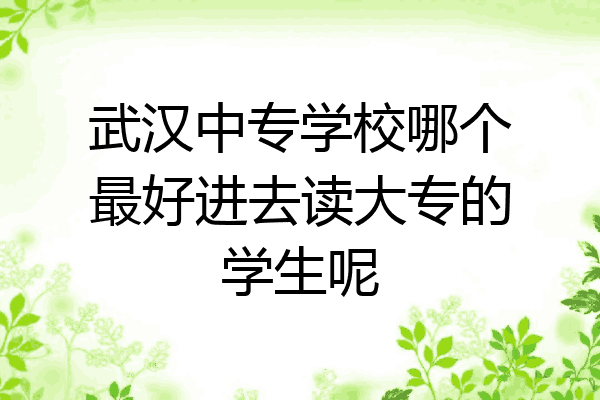 武汉中专学校哪个最好进去读大专的学生呢