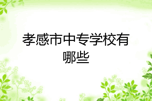 孝感市中专学校有哪些