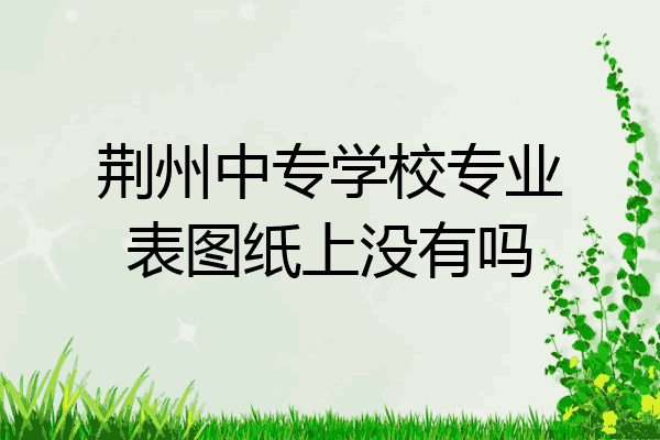 荆州中专学校专业表图纸上没有吗