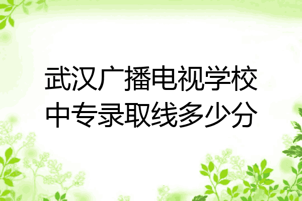 武汉广播电视学校中专录取线多少分