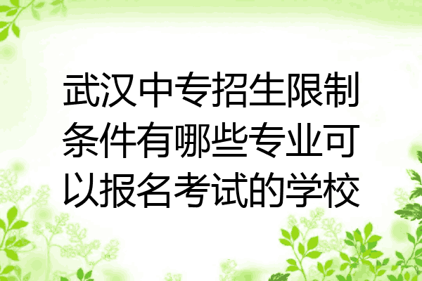 武汉中专招生限制条件有哪些专业可以报名考试的学校