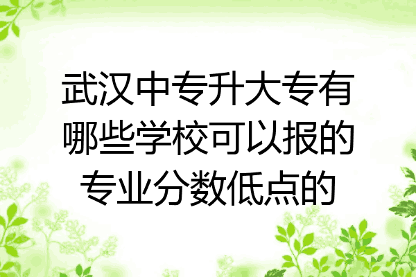 武汉中专升大专有哪些学校可以报的专业分数低点的