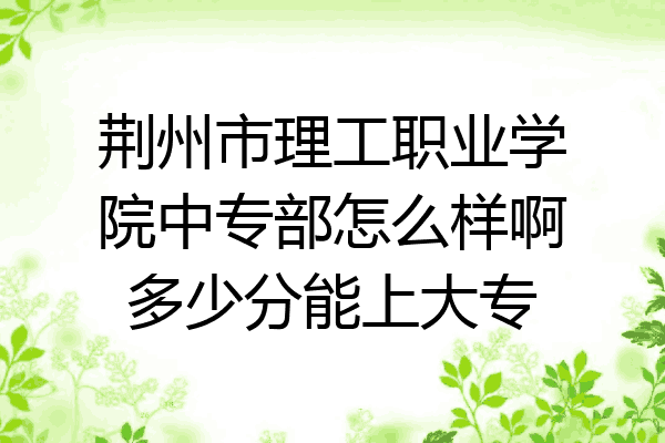 荆州市理工职业学院中专部怎么样啊多少分能上大专