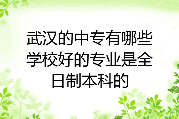 武汉的中专有哪些学校好的专业是全日制本科的