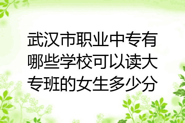 武汉市职业中专有哪些学校可以读大专班的女生多少分