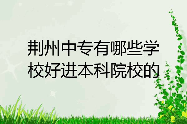 荆州中专有哪些学校好进本科院校的