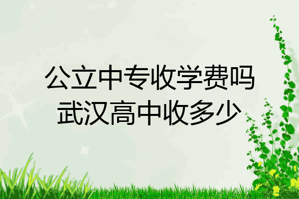 公立中专收学费吗武汉高中收多少
