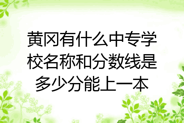 黄冈有什么中专学校名称和分数线是多少分能上一本