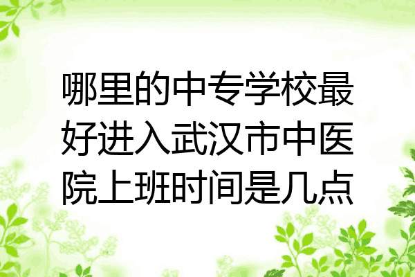 哪里的中专学校最好进入武汉市中医院上班时间是几点