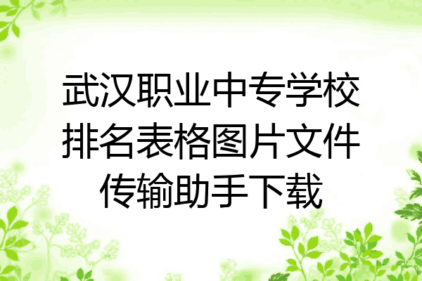 武汉职业中专学校排名表格图片文件传输助手下载