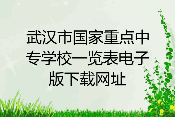 武汉市国家重点中专学校一览表电子版下载网址