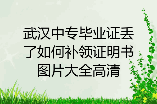 武汉中专毕业证丢了如何补领证明书图片大全高清