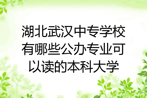 湖北武汉中专学校有哪些公办专业可以读的本科大学