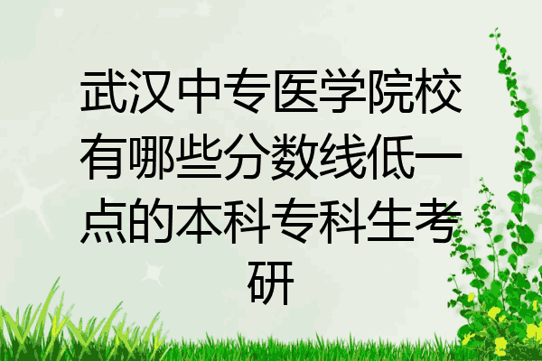 武汉中专医学院校有哪些分数线低一点的本科专科生考研