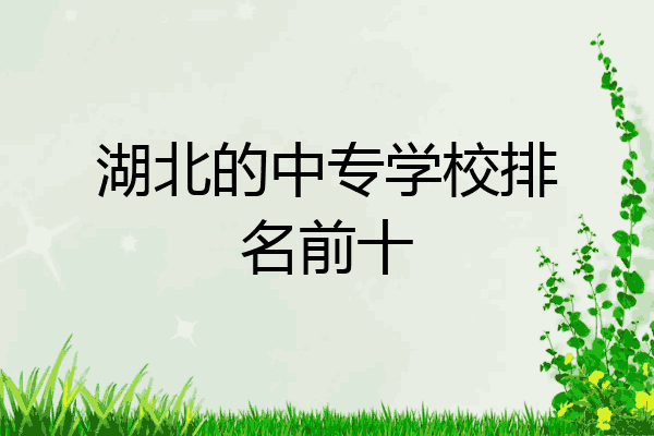 湖北的中专学校排名前十