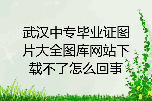 武汉中专毕业证图片大全图库网站下载不了怎么回事