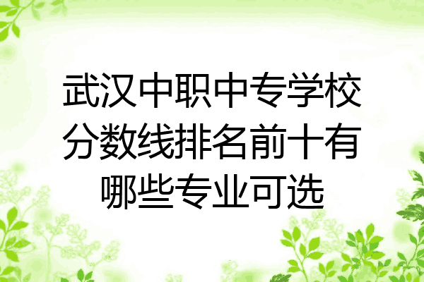 武汉中职中专学校分数线排名前十有哪些专业可选