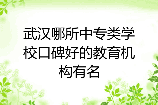 武汉哪所中专类学校口碑好的教育机构有名