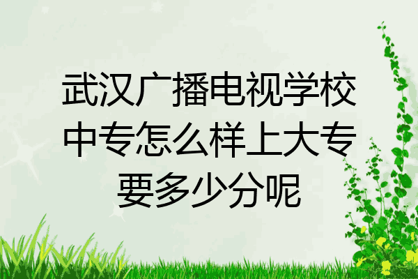 武汉广播电视学校中专怎么样上大专要多少分呢