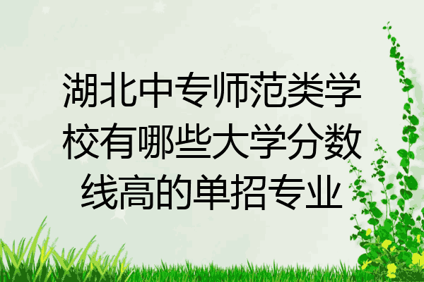 湖北中专师范类学校有哪些大学分数线高的单招专业