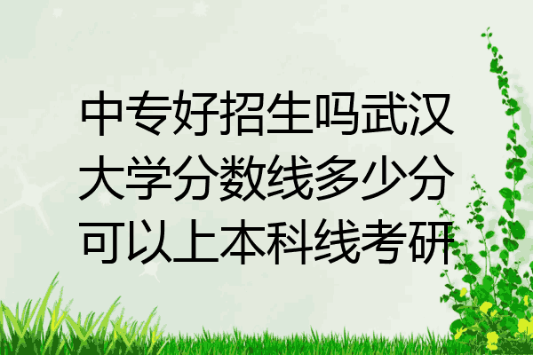 中专好招生吗武汉大学分数线多少分可以上本科线考研