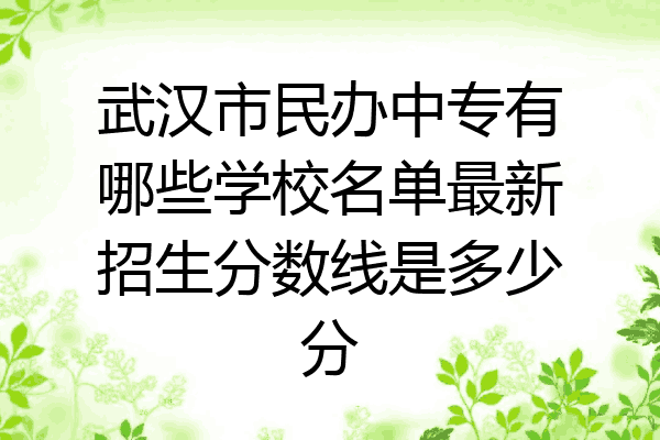 武汉市民办中专有哪些学校名单最新招生分数线是多少分