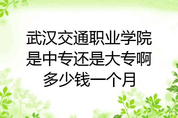 武汉交通职业学院是中专还是大专啊多少钱一个月
