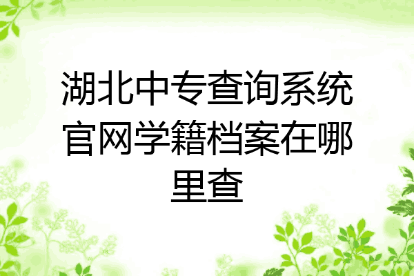 湖北中专查询系统官网学籍档案在哪里查