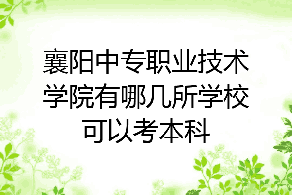 襄阳中专职业技术学院有哪几所学校可以考本科