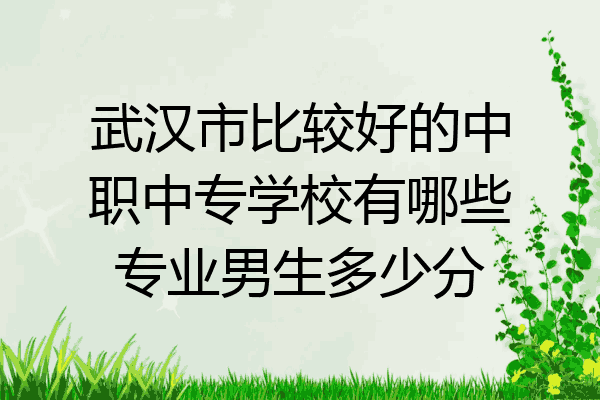 武汉市比较好的中职中专学校有哪些专业男生多少分