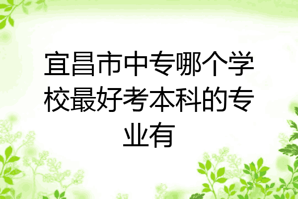 宜昌市中专哪个学校最好考本科的专业有