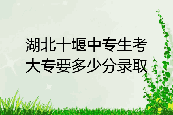 湖北十堰中专生考大专要多少分录取