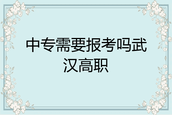 中专需要报考吗武汉高职
