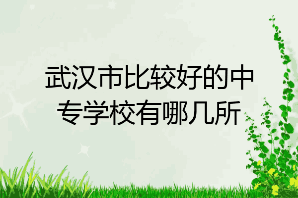 武汉市比较好的中专学校有哪几所