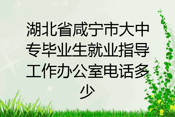 湖北省咸宁市大中专毕业生就业指导工作办公室电话多少