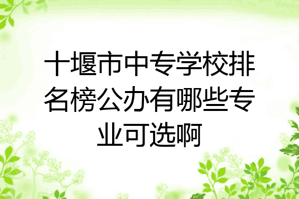十堰市中专学校排名榜公办有哪些专业可选啊
