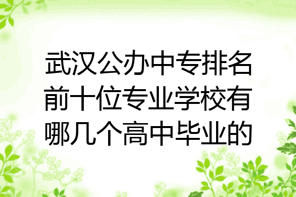 武汉公办中专排名前十位专业学校有哪几个高中毕业的