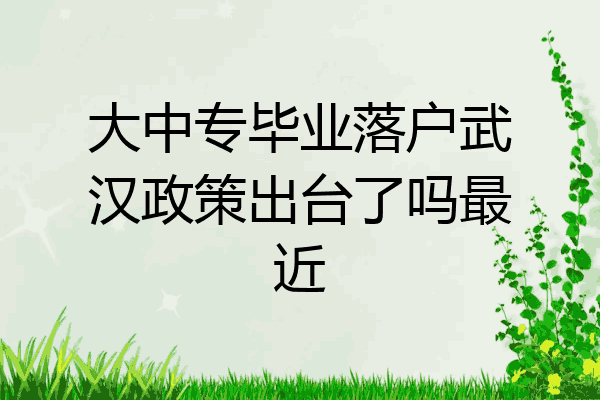 大中专毕业落户武汉政策出台了吗最近