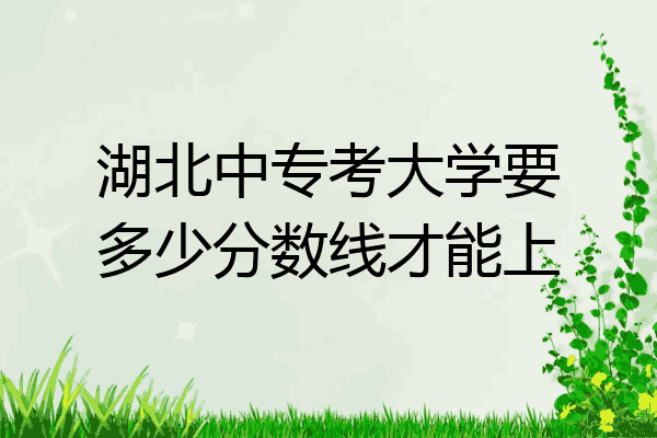 湖北中专考大学要多少分数线才能上