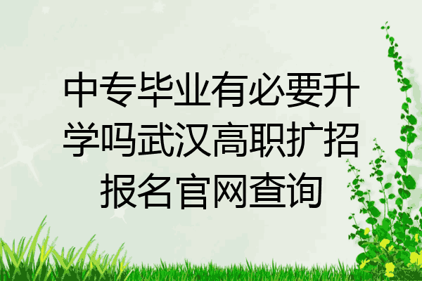中专毕业有必要升学吗武汉高职扩招报名官网查询
